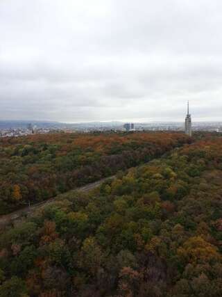 Отель Park Hotel Moskva София Двухместный номер с 1 кроватью-8
